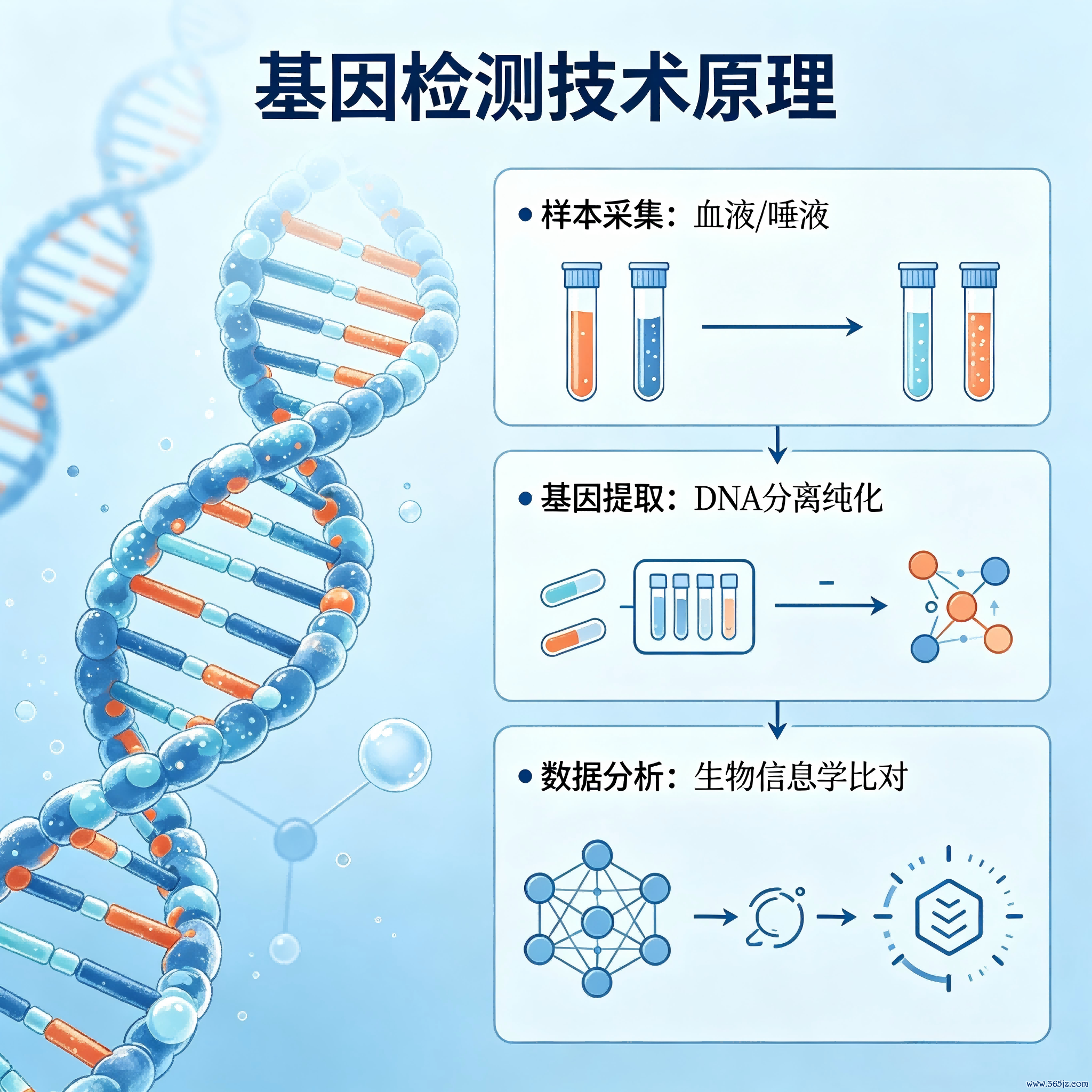 基因检测怎么选不踩坑？柚子生命帮你找到高性价比方案